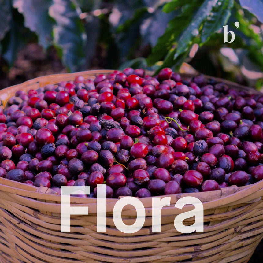 Flora - Iwariti, Idido, Yirgacheffe